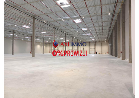 Magazyn do wynajęcia - Pabianice, Pabianicki, 15 000 m², 52 500 Euro (226 800 PLN), NET-8909