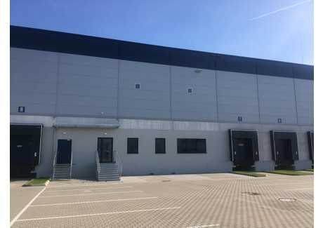 Magazyn do wynajęcia - Składowa Gądki, Kórnik, Poznański, 10 600 m², 30 740 Euro (130 952 PLN), NET-7725