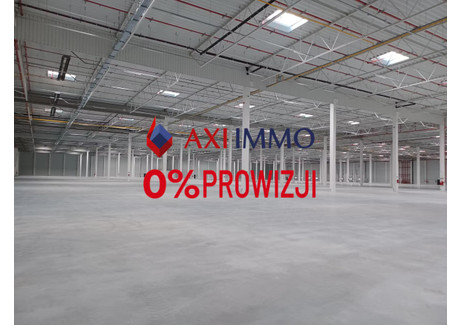 Magazyn do wynajęcia - Goleniów, Goleniowski, 48 500 m², 145 500 PLN, NET-9035