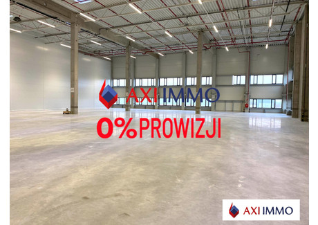 Magazyn do wynajęcia - Zabrze, 1700 m², 10 200 Euro (44 064 PLN), NET-8395