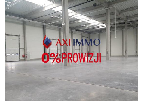 Magazyn do wynajęcia - Siemianowice Śląskie, 695 m², 17 375 PLN, NET-8869