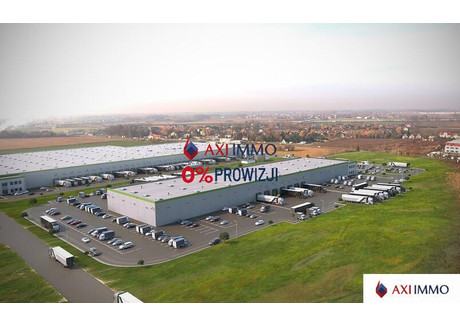 Magazyn do wynajęcia - Poznań, 7500 m², 26 250 Euro (113 400 PLN), NET-8236