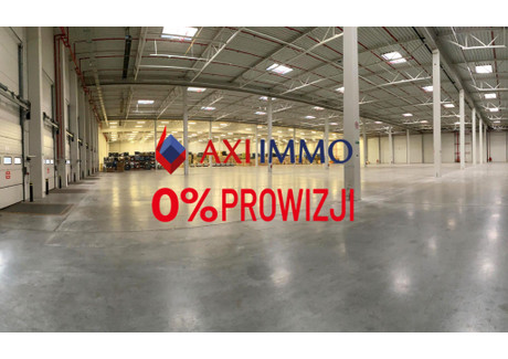 Magazyn do wynajęcia - Bielsko-Biała, 9000 m², 32 400 Euro (139 968 PLN), NET-8852