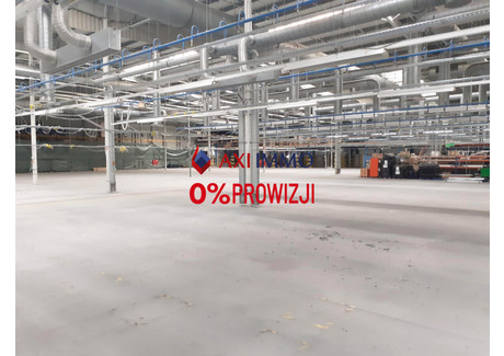 Magazyn do wynajęcia - Widzew, Łódź, 10 000 m², 40 000 Euro (170 800 PLN), NET-8925