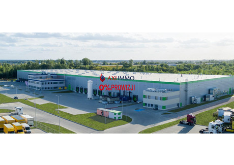 Magazyn do wynajęcia - Pruszków, Pruszkowski, 3240 m², 12 636 Euro (54 967 PLN), NET-8821