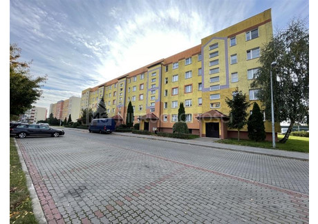 Mieszkanie do wynajęcia - Os. Piastów Starogard Gdański, Starogardzki, 50 m², 1600 PLN, NET-M309144