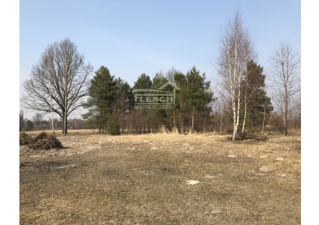 Działka na sprzedaż - Adamowizna, Grodzisk Mazowiecki, Grodziski, 1500 m², 470 000 PLN, NET-3540/1821/OGS