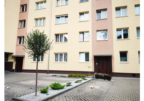 Mieszkanie do wynajęcia - Marcelińska Grunwald, Poznań, 50,5 m², 1850 PLN, NET-467