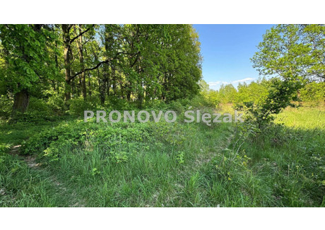 Działka na sprzedaż - Siemianice, Oborniki Śląskie, Trzebnicki, 1174 m², 223 060 PLN, NET-PROD-GS-887