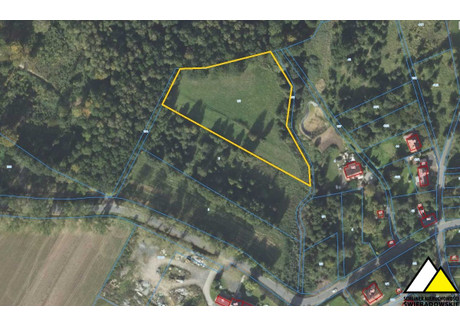 Działka na sprzedaż - Złotniki Lubańskie, Leśna, Lubański, 7700 m², 462 000 PLN, NET-56590691