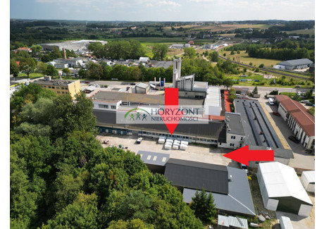 Magazyn, hala do wynajęcia - Żukowo, Kartuski, 1397 m², 28 000 PLN, NET-61/260/OOW