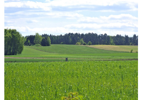 Działka na sprzedaż - Jasionka, Zgierz, Zgierski, 3000 m², 175 000 PLN, NET-ETR-GS-1099-52