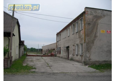 Obiekt na sprzedaż - Drzonów, Świdnica (Gm.), Zielonogórski (Pow.), 2400 m², 380 000 PLN, NET-3141995