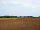 Rolny na sprzedaż - Lisewo, Chełmiński, 24 000 m², 288 000 PLN, NET-497918