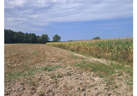 Działka na sprzedaż - Malinówka, Cyców, Łęczyński, 3000 m², 70 000 PLN, NET-1423/13924/OGS