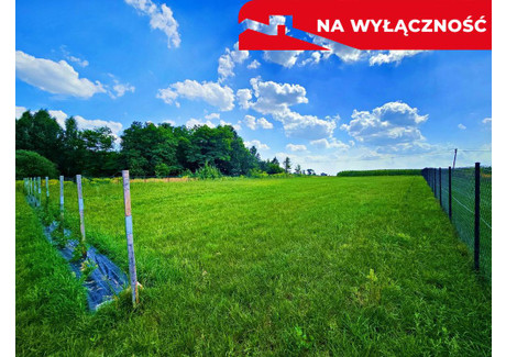 Działka na sprzedaż - Ludwin, Łęczyński, 1500 m², 95 000 PLN, NET-1070/13924/OGS