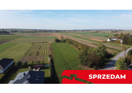 Działka na sprzedaż - Kościuszki Krasnystaw, Krasnostawski, 4281 m², 159 000 PLN, NET-1154/13924/OGS