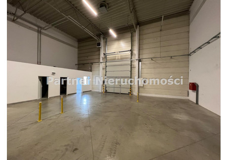 Magazyn do wynajęcia - Chrobrego, Toruń, Toruń M., 1360 m², 27 200 PLN, NET-PRT-HW-12322