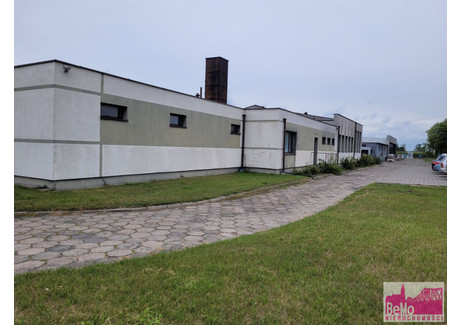 Fabryka, zakład na sprzedaż - Brześć Kujawski, Włocławski, 1000 m², 2 600 000 PLN, NET-BMO-BS-3532