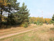 Rolny na sprzedaż - Wygon, Bierzwnik, Choszczeński, 9285 m², 69 000 PLN, NET-4067