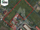 Działka na sprzedaż - Ciele, Białe Błota, Bydgoski, 10 500 m², 1 312 500 PLN, NET-IDE-GS-11128