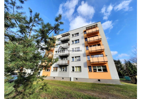 Mieszkanie do wynajęcia - Centrum, Będzin, Będziński, 37 m², 1300 PLN, NET-HIT-MW-5635