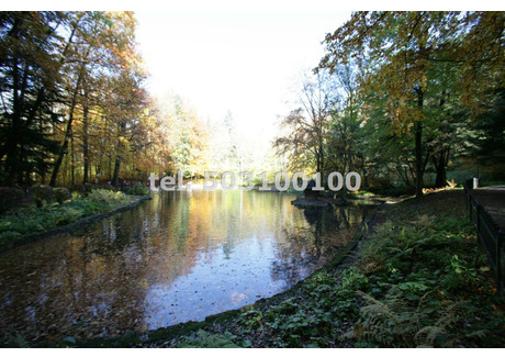 Hotel, pensjonat na sprzedaż - Krynica-Zdrój, Krynica-Zdrój (gm.), Nowosądecki (pow.), 980 m², 9 500 000 PLN, NET-JOT-BS-315