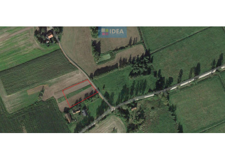 Działka na sprzedaż - Jeziorany, Olsztyński, 2875 m², 34 500 PLN, NET-37829