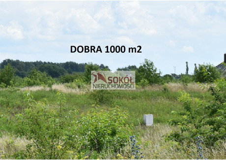 Działka na sprzedaż - Dobra, Dobra (szczecińska) (gm.), Policki (pow.), 1000 m², 340 000 PLN, NET-231-1