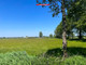 Rolny na sprzedaż - Rosko, Wieleń, Czarnkowsko-Trzcianecki, 4200 m², 35 000 PLN, NET-FCZ-GS-197028