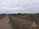 Gospodarstwo rolne na sprzedaż - Siedliskowo-budowlana KÓRNIK Kórnik, Poznański, 8200 m², 1 499 000 PLN, NET-97651030