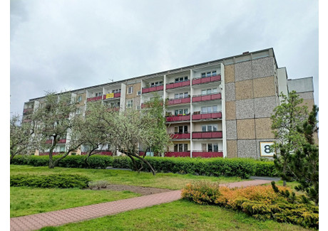 Mieszkanie na sprzedaż - os. Stefana Batorego Piątkowo, Poznań, 74,2 m², 650 000 PLN, NET-3467