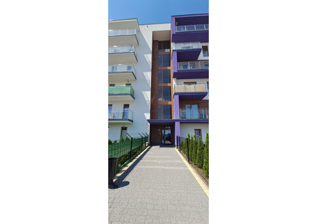 Mieszkanie do wynajęcia - Andrzeja Wajdy Kutno, Kutnowski (Pow.), 49 m², 1700 PLN, NET-179