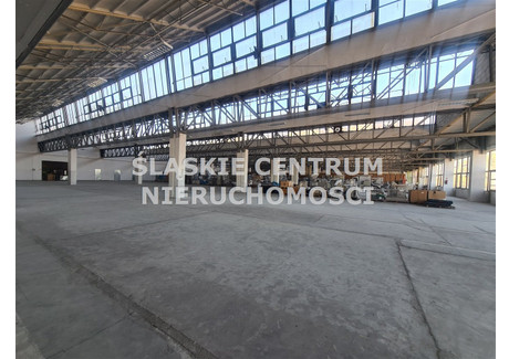 Magazyn na sprzedaż - Piłsudskiego Syberka, Będzin, Będziński, 11 643 m², 16 525 000 PLN, NET-SCN-HS-2409