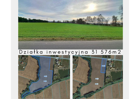 Działka na sprzedaż - Miąskowo, Krzykosy (gm.), Średzki (pow.), 31 576 m², 2 499 000 PLN, NET-024
