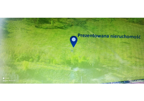 Działka na sprzedaż - Zabrze, 42 426 m², 7 212 420 PLN, NET-1096