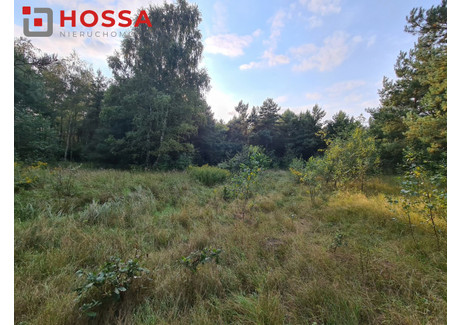 Działka na sprzedaż - Bronków, Bobrowice, Krośnieński, 5040 m², 220 000 PLN, NET-HN798393