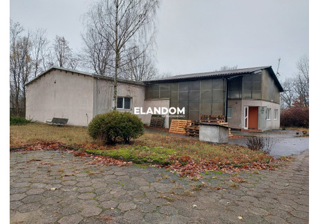 Magazyn, hala do wynajęcia - Celestynów, Otwocki, 333 m², 11 500 PLN, NET-17/4451/OHW