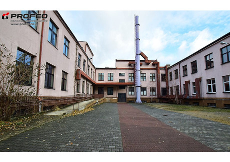 Fabryka, zakład do wynajęcia - Centrum, Bielsko-Biała, Bielsko-Biała M., 3600 m², 54 000 PLN, NET-PCN-BW-9850