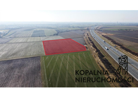 Działka na sprzedaż - Graniczna Bojków, Gliwice, 36 000 m², 8 070 000 PLN, NET-182/13542/OGS