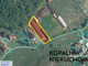 Magazyn, hala na sprzedaż - Józefa Elsnera Śmiłowice, Mikołów, Mikołowski, 900 m², 540 000 PLN, NET-11/13542/OHS