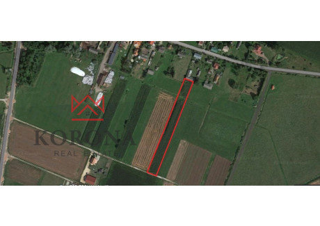 Działka na sprzedaż - Wólka, Juchnowiec Kościelny, Białostocki, 4127 m², 193 000 PLN, NET-599/15636/OGS