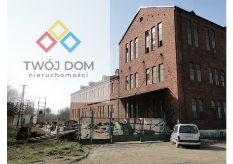 Magazyn na sprzedaż - Gmina Darłowo Darłowo, Sławieński, 2478 m², 880 000 PLN, NET-4402633