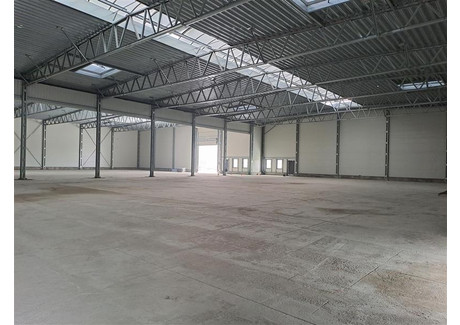 Magazyn do wynajęcia - Budowlanych Kokoszki, Gdańsk, 5000 m², 145 000 PLN, NET-GB05865