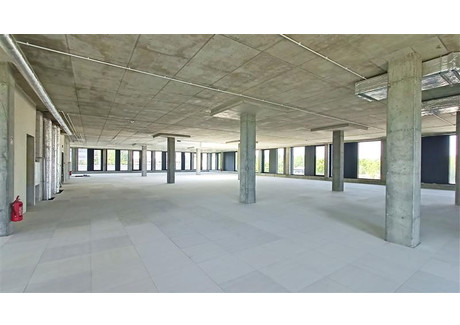 Lokal usługowy do wynajęcia - Hutnicza Chylonia, Gdynia, 756 m², 45 360 PLN, NET-GB06059