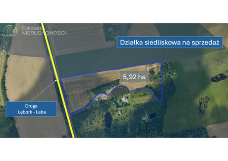 Działka na sprzedaż - Darżkowo, Nowa Wieś Lęborska, Lęborski, 592 000 m², 828 800 PLN, NET-DYK-GS-1525