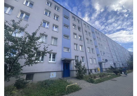 Mieszkanie na sprzedaż - Wichrowe Wzgórze Winogrady, Poznań-Stare Miasto, Poznań, 47 m², 479 000 PLN, NET-IR928132