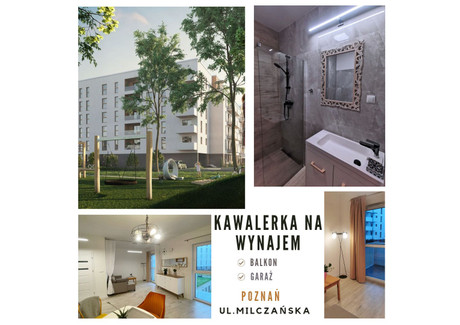 Mieszkanie do wynajęcia - Milczańska Nowe Miasto, Poznań-Nowe Miasto, Poznań, 29,72 m², 2000 PLN, NET-IR633080