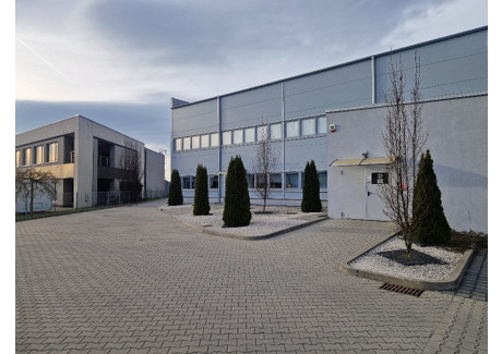 Magazyn do wynajęcia - Komorniki, Poznański, 1100 m², 28 050 PLN, NET-IR804967