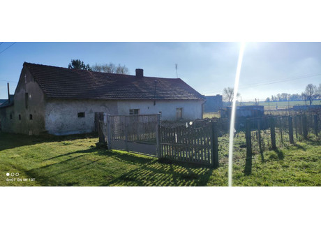 Działka na sprzedaż - Działki rolno-budowlane/agroturystyka/gospodarstwo Paczyna, Toszek, Gliwicki, 27 763 m², 1 000 000 PLN, NET-50970945